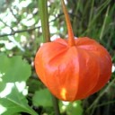2010年9月8日