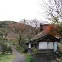 晩秋