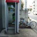 暑さのせいじゃないか
