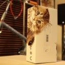 ねこたん