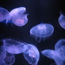長崎旅行　３