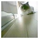 この夏の食事は・・・