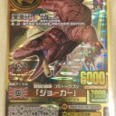 今日から開始