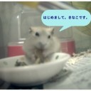 焦りました・・・