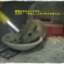 焦りました・・・
