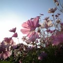 2010年9月14日