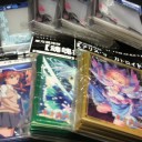 2010/9/17　アキヴァ散策記+ジムチャレポ：秋葉原チェルモ