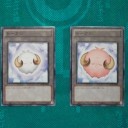 ついにゲットしました！！！！！