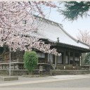 鴬谷～上野～湯島