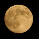 リベンジの十五夜