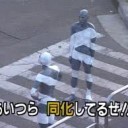 【MTG】縞々