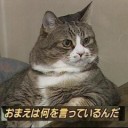 今更ながら