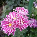 2010年9月22日