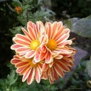 2010年9月22日