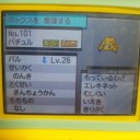 色違いのポケモンゲット！！