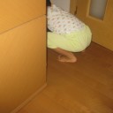 尻隠さず