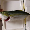 世界を釣る！