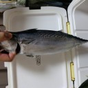 世界を釣る！