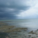 空や海や水牛や