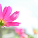 月曜〓立ち読みとぼんやりと〓