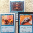 鍛えられたEDH豚