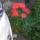 10月なんだよね・・・