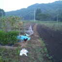 諦めないバントデッキ２-＆大建築家様