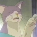 最適解はなに…？