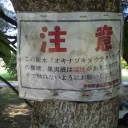 出張で沖縄　～平和記念公園～