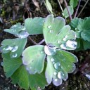 2010年10月10日