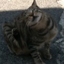 サザエさ～ん