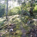 小辺路（伯母子峠～十津川温泉）