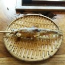 まつたけ\＾＾
