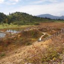 紅葉狩りに行ってきました