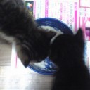 みーみ７日目