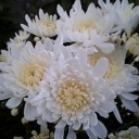 2010年10月18日