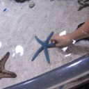 水族館