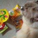 部屋と駄菓子とわたし