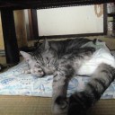 10月24日の日記