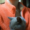 妄想癖は遺伝です　“先読みと先走りは、コブラとツチノコくらい違います（要注意）”　の巻　