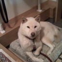 今日も昨日に続いて