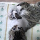 みーみ17日目