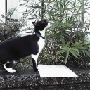 今日もやっぱり寒いが・・