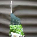 誰かの楽園。