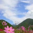 誰かの楽園。