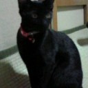 黒糖は元気♪