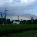 久しぶりの虹
