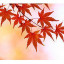 とじられたせかい・・・