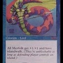 Merfolk-Foil所持リスト