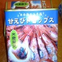 紅葉はまだでしたがー